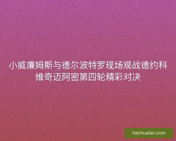 小威廉姆斯与德尔波特罗现场观战德约科维奇迈阿密第四轮精彩对决
